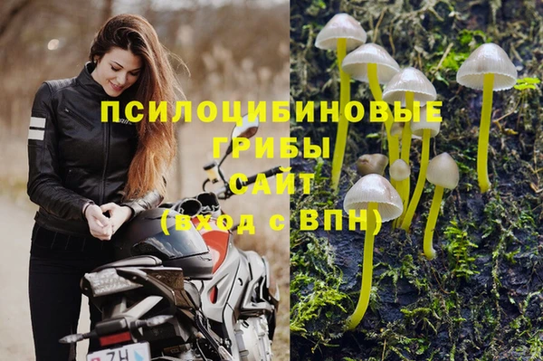 прущие крисы Алексин