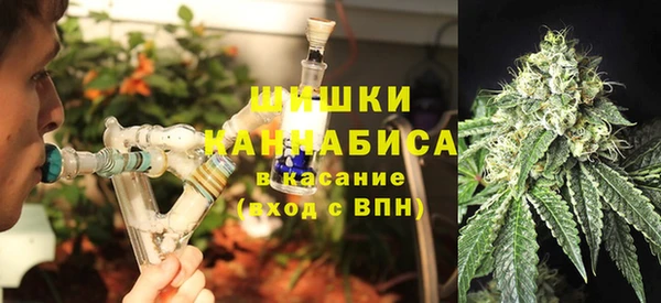 ПСИЛОЦИБИНОВЫЕ ГРИБЫ Алексеевка