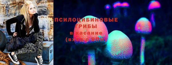 ПСИЛОЦИБИНОВЫЕ ГРИБЫ Алексеевка